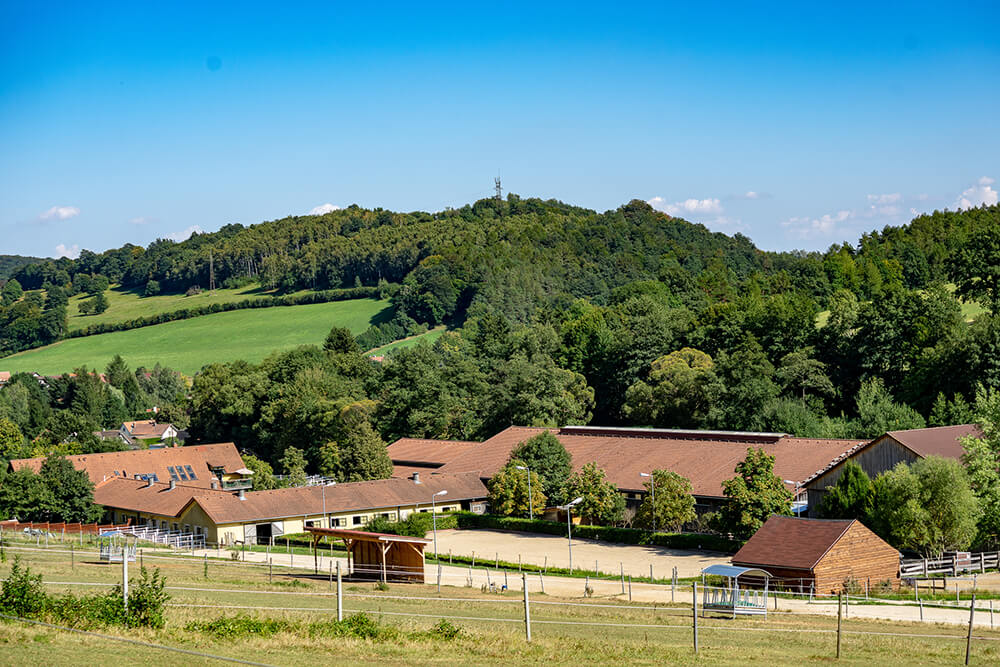 Reiterhof: Leonardihof, Weide